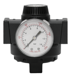 REGULADOR DE PRESSÃO PILOTADO 3/4&quot; BSP, FAIXA DE AJUSTE DE PRESSÃO 0-14 BAR