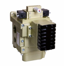 VÁLVULA DE SEGURANÇA DM 2, 1&quot; BSP, COM SILENCIADOR DE SEGURANÇA - 24VDC