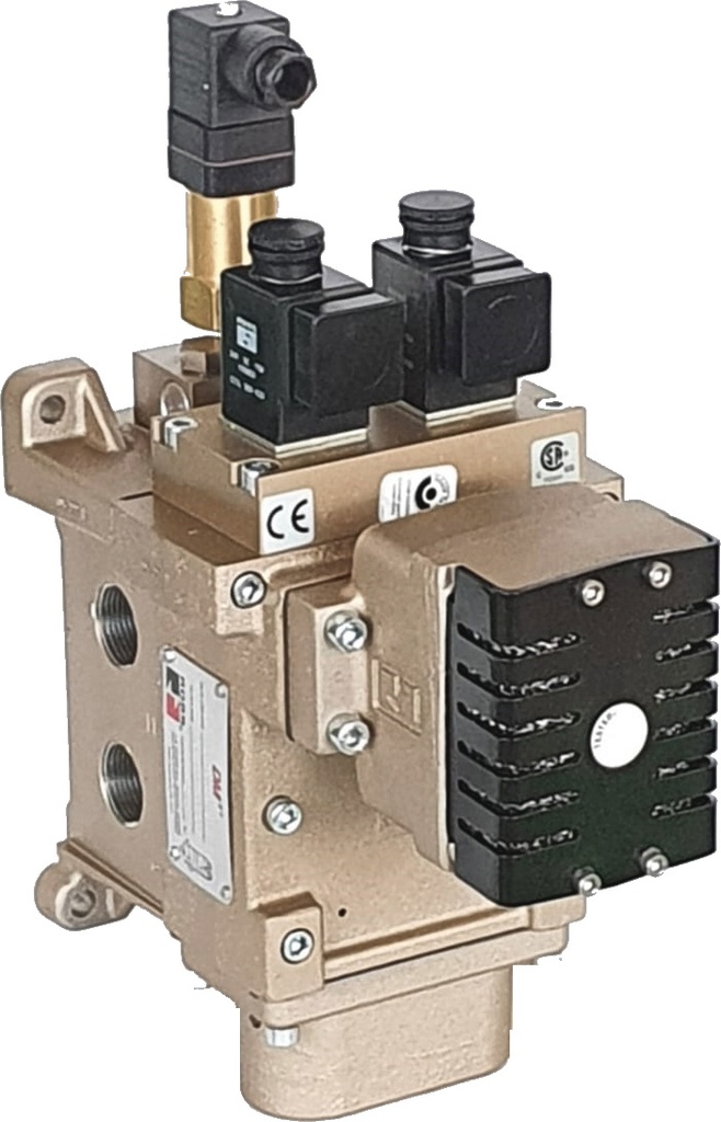 VALVULA DE SEGURANÇA DM2D, TN8, 3/4&quot; BSP, 24 VDC, COM RESET, SILENCIADOR E BLOCO SINALIZADOR