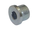 BUJÃO 2&quot; BSP DIN 908